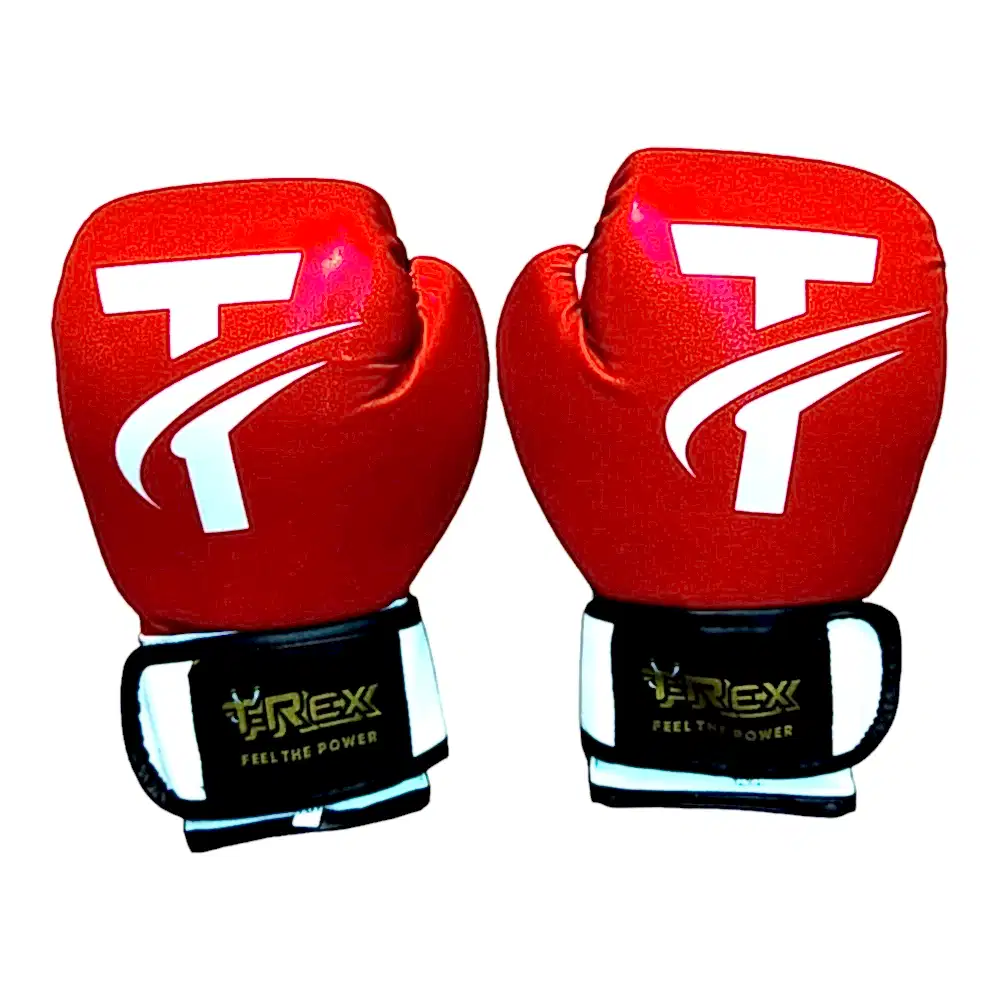 TREX BOKS ELDİVENİ 10 OZ