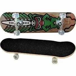 ŞEFFAF TEKERLEKLİ KAYKAY