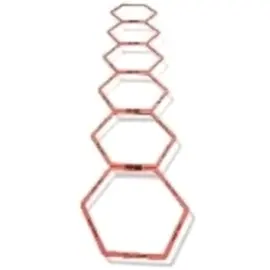 PROFESYONEL ALTIGEN KOORDİNASYON ÇEMBERİ